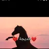 khadija.kidioui
