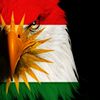 devrim_flex72