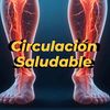 circulacionsaludable