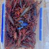 crayfishdelights.kla