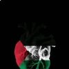 slm.slm9233