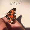 sara.el.sheikh4