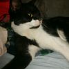 eduardo10.1