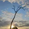 gilvadotavares