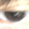 fortun_ee
