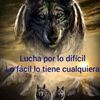 toti_1380