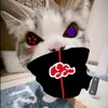kaitomc84