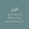 user056365316