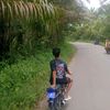 roy33_stw