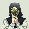 user7538019734338