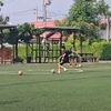 taexmessi