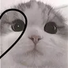 sabiqa_vem
