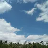bago0507