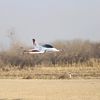 remotecontrolaircraft2