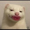 user_unknown21361