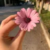 crazyjhoy4