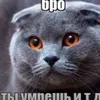 me0o0www228