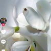 user3712902904211