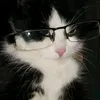 spwzzq