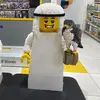 pupsik_arrivals