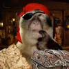 tapchikinhdoanhph