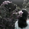 ayu__leszz