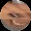 avatarbuon