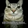 ng.hunh092