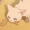 renaaau_u