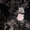 18xrmq._