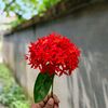 md.rasel29635