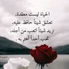 user9695627971823