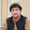 شاولی استاد