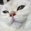 esi_viu