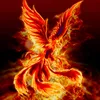 vefenix8