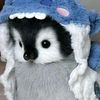 yomi.kdmv