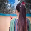 shibra45