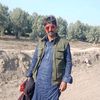 malikasaddaudkhel01