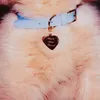 thelifeofamansbestfriend