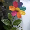 anhsay_