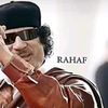 a.li_a7