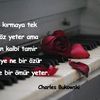 beyzanur7978