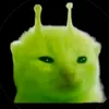 muffin2581