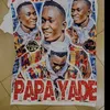 mamecheikhbouguediawaye