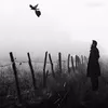don74_3