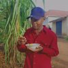 cobs814
