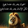 user1652008175821