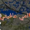 ibrahim.thakr