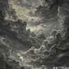 shwz_srx