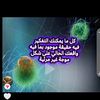 gamile.ahmed